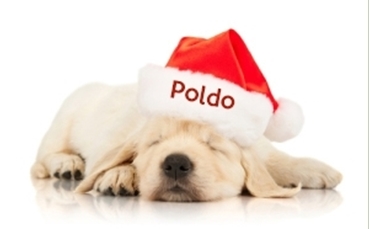 Immagine di CAPPELLO  NATALE CON NOME STAMPATO